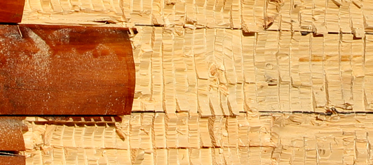 Log Home Face Restoration  Corolla,  North Carolina